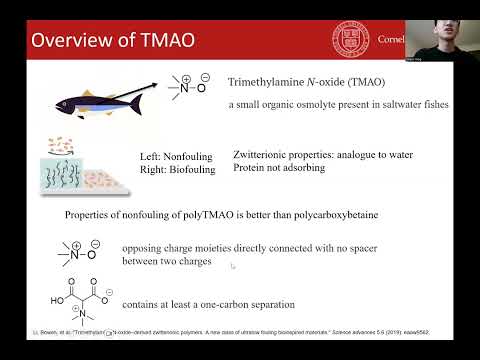[Synthesis of Polymeric Materials][Spring 2025]_002_TMAO derived-zwitterionic polymer